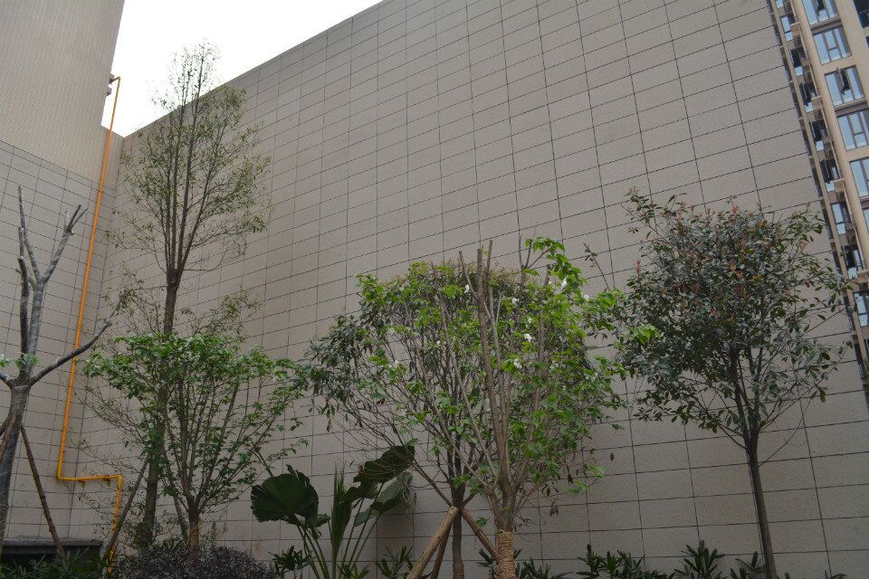 宜賓馳城·觀瀾上郡