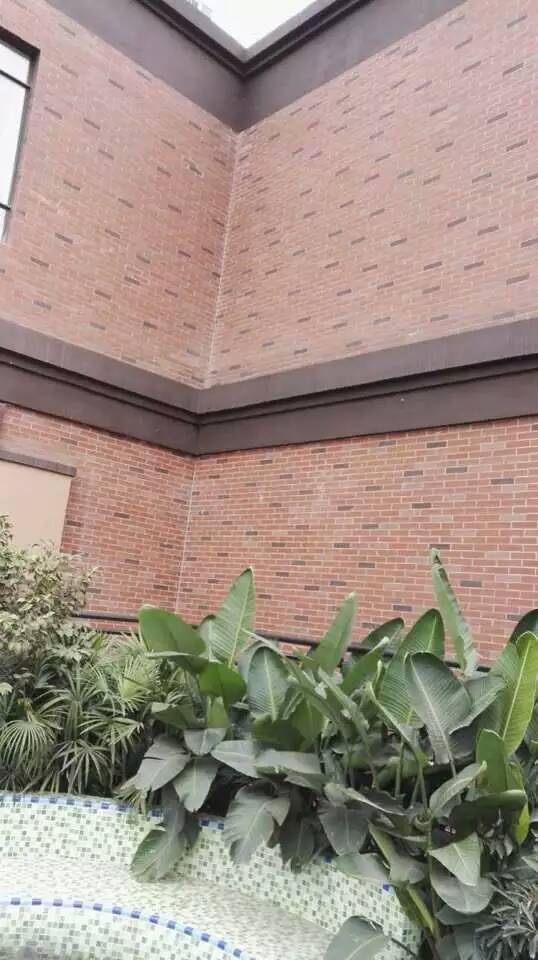 重慶江山名門幼兒園